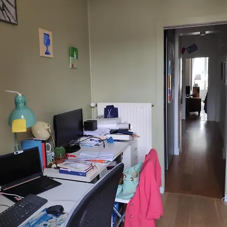 Nice And Spacious T3 Near The Place Royale *